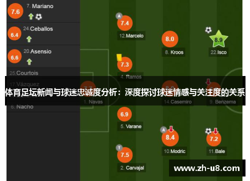 体育足坛新闻与球迷忠诚度分析：深度探讨球迷情感与关注度的关系