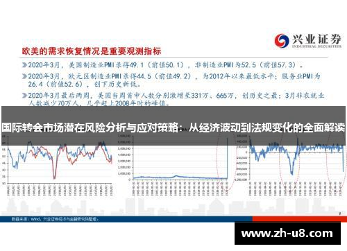 国际转会市场潜在风险分析与应对策略：从经济波动到法规变化的全面解读