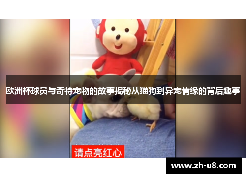 欧洲杯球员与奇特宠物的故事揭秘从猫狗到异宠情缘的背后趣事