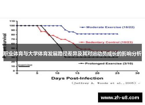 职业体育与大学体育发展路径差异及其对运动员成长的影响分析