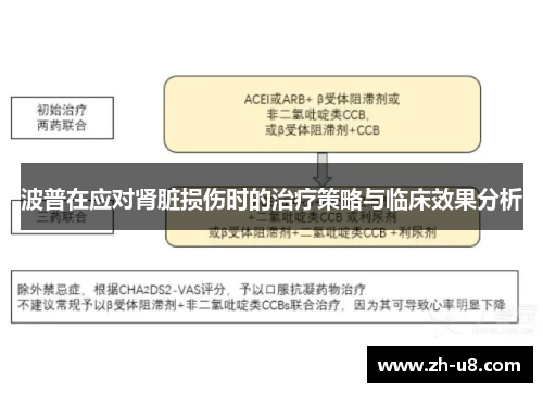 波普在应对肾脏损伤时的治疗策略与临床效果分析